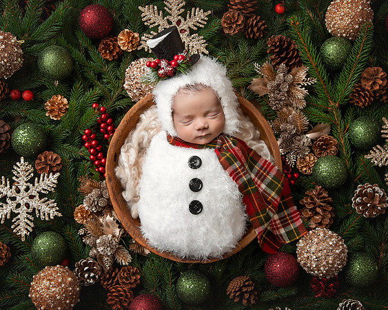 Newborn Digital Backdrop - Lauree Jane Photography, LLC
