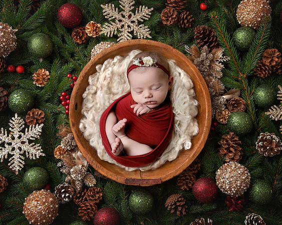 Newborn Digital Backdrop - Lauree Jane Photography, LLC